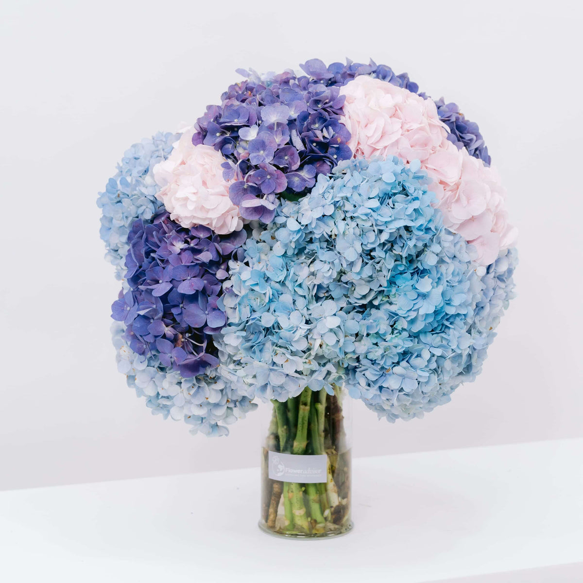 Fresh Blooms on Flores Street: The Magic of Toko Flores Cilacap